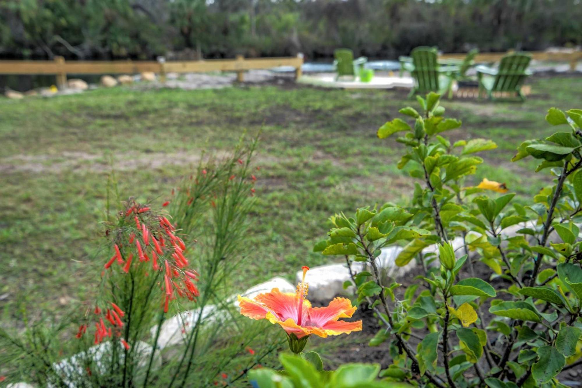 Riverside Hut Cozy Getaway W Tiki Hut & Grill * Bradenton