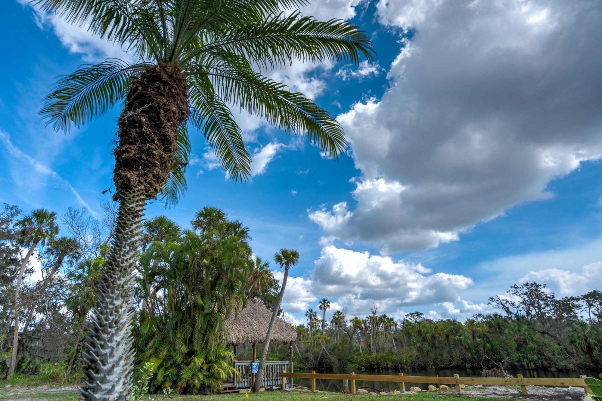 Riverside Hut Cozy Getaway W Tiki Hut & Grill * Bradenton